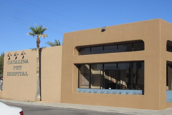 catalina pet hospital pet friendly veterinarian tucson az