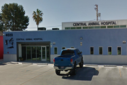 central animal hospital pet friendly vet in tucson az