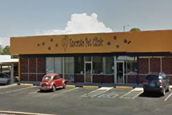 encanto pet clinic pet friendly vet tucson az animal hospital