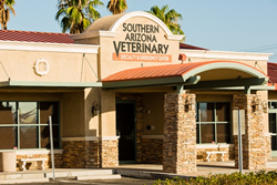 southern arizona veterinary specialty and emergency center pet friendly veterinarian in tucson arizona