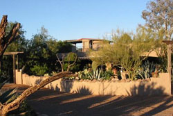 tan colored house with desert landscaping and trees, shadows of trees in foreground, blue skies in background, pet friendly vacation home for rent in tucson