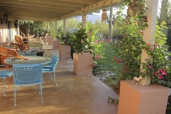 large outdoor patio with plenty of patio furniture, including tables and chairs, plants and greenery, landscaped garden and yard, tucson arizona by owner vacation pet friendly rental home