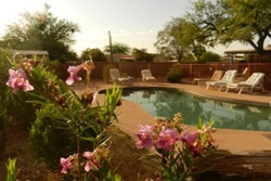 pet friendly vacation home for rent in tucson