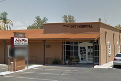university pet clinic pet friendly vet in tucson az